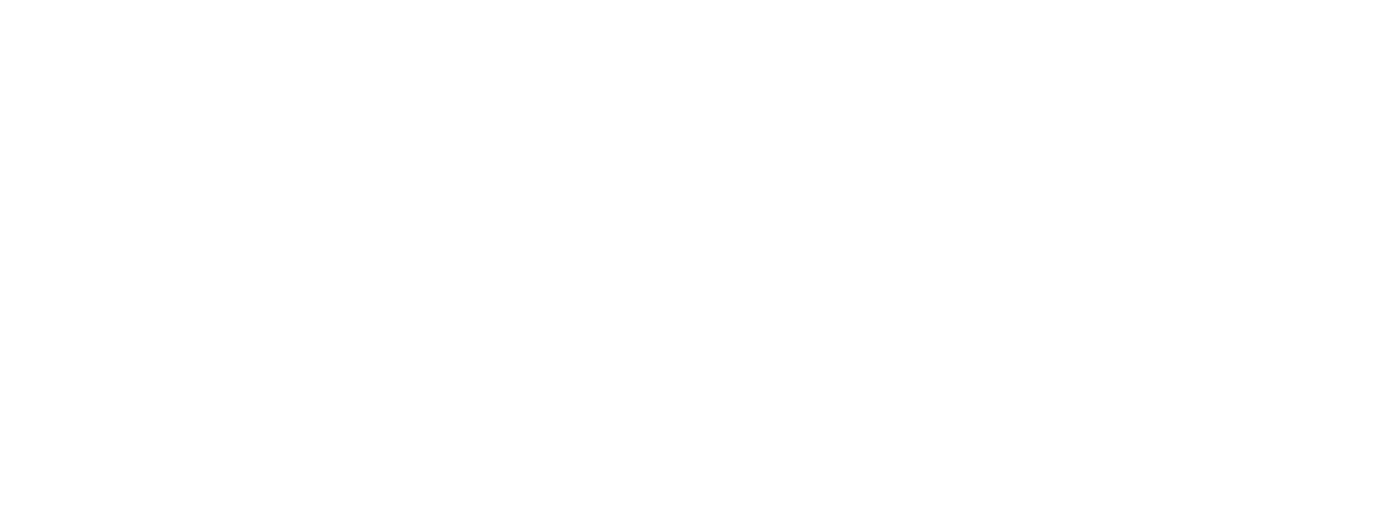 TOYO